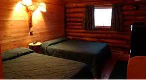 Lazy Bear Lodge - Image 5