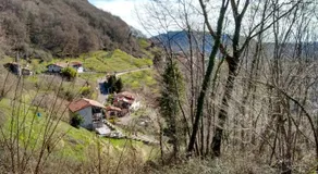 La chase a Beorcje - Image 4
