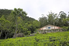 Farview Mountain Resort Villas - Image 2