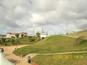 Green Meadow - Image 3