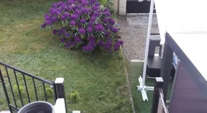 Le paradis de Belle isle en terre - Image 2