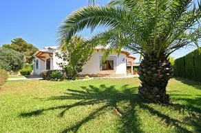 Oleander Javea - Image 5