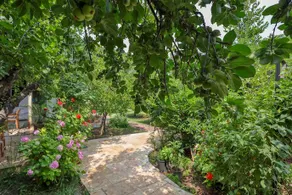 Sunrise Bungalows - Image 2
