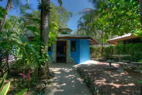 The Buena Vibra Collective - Image 2