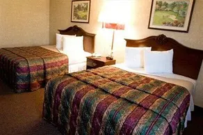 Haven Hotel Pompano Beach - Image 4