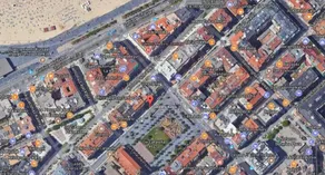 Picasso - Local Rentss - Image 2