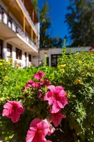 Rainbow Hostelier - Image 5