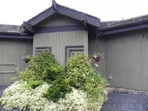 Little House in Brackendale - Image 2