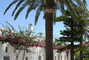 Relais Masseria Montalbano - Image 5