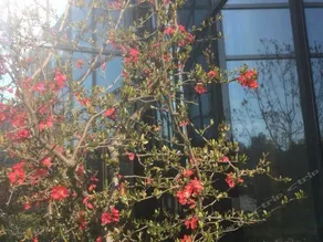 Junlai Garden Hotel - Image 5