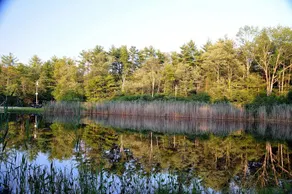 White Pines Campsites - A Cruise Inn Park - Image 1