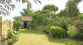 Hollyhocks - Image 2