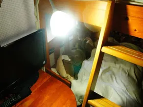 Ninja Guesthouse Near Shinjuku Female Only - Image 3