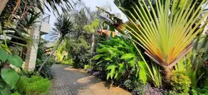 GREEN BAMBOO RESIDENCE - Image 3