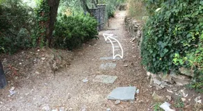 Villa Olivari - apt la Lavanda - Image 4