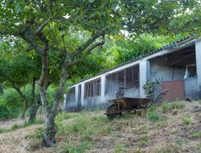 Quinta das Leiras - Image 2