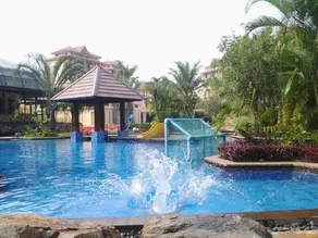Palm Island - Image 5