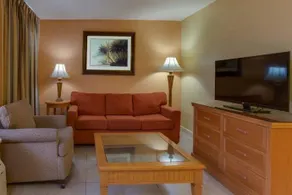 Florida Vacation Homes-Bronze - Image 2
