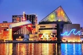 Spinnaker Bay - Image 2