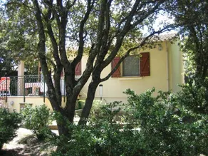 Bungalow Claret - Image 2