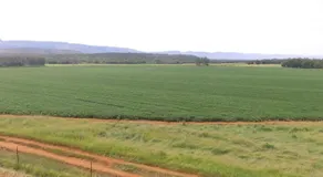 Magalies Tranquil Haven - Image 2