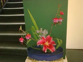 The Rufus House - Image 4