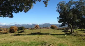 La Quiniela - Image 3