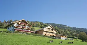 Oberbaumgartnerhof - Image 2