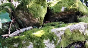 La Carri'air - Image 4