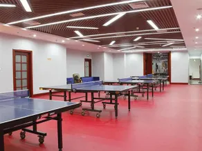 Sports - Image 3