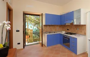 Lemon Garden - Image 5