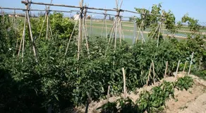 Caseta Del Chato - Image 3