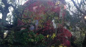 Casale Bambù - Hidden Countryhouse - Image 2