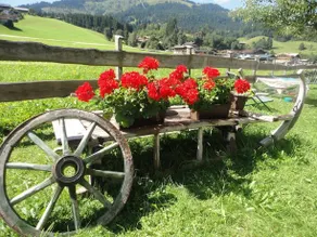 Pension Widauer - Image 3
