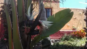 Casa Jorsam - Image 5