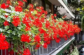 Hotel Manzoni - Image 2