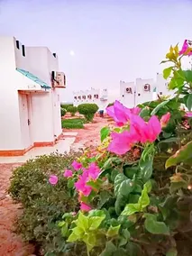 Amego Hotel Dahab - Image 5
