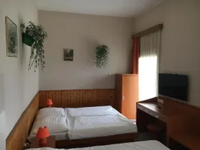 Vonyarc Hotel - Image 5