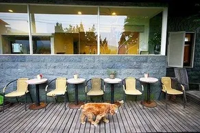 Puzhen B&B - Image 2