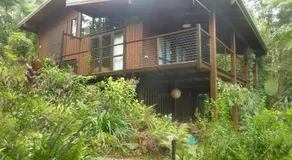 Daintree Holiday Homes - The Folly - Image 2