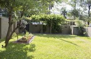 Renda Guazu - Image 3