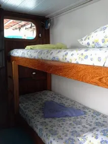 Lo Peix Rainforest Cruises - Image 2