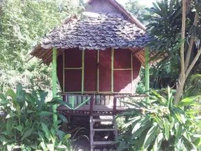 Purple Monkey Guesthouse - Image 1