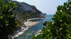 Via Duranti - Image 3