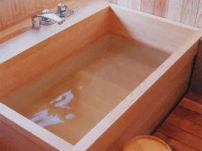 Tsukigatani Onsen Tsuki no Yado - Image 2