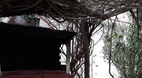 Beautiful house - Image 3