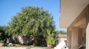 LICITRA - THREE BEDROOM - Image 4