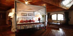 Chauve Souris Relais - Image 5