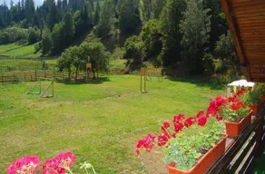 Pietrele Doamnei - Image 4
