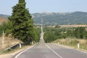 La Casina di Neda - Image 4